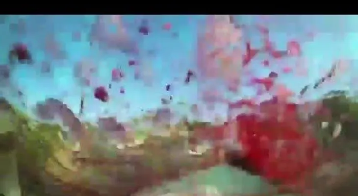¿Sangre o vino?: tendrá que mirar bien para entenderlo (VIDEO)