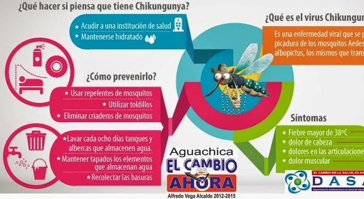 Algunos trucos para evitar la chikungunya sugeridos por la Organización Mundial de la Salud 