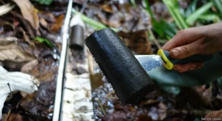 Descubren en el Congo un tesoro natural del tamaño de Inglaterra