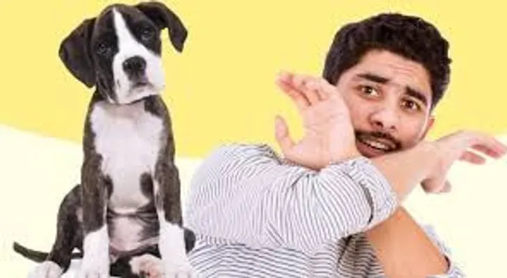 Cinofobia: miedo irracional a los perros; padece un 9 por ciento población mundial