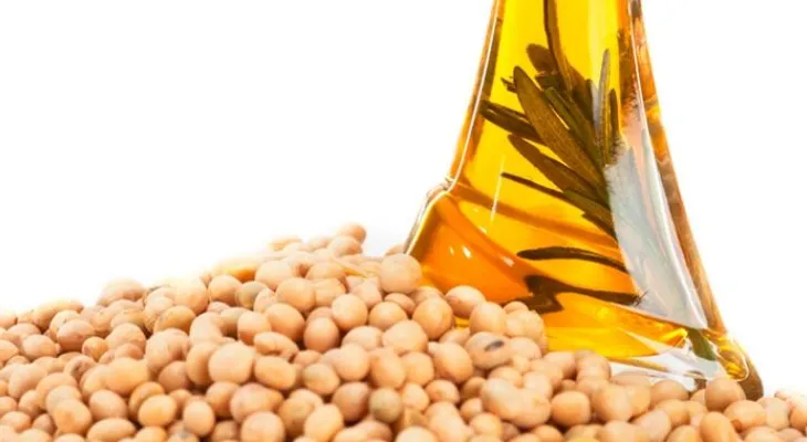 La Soya un alimento para incorporar a la dieta