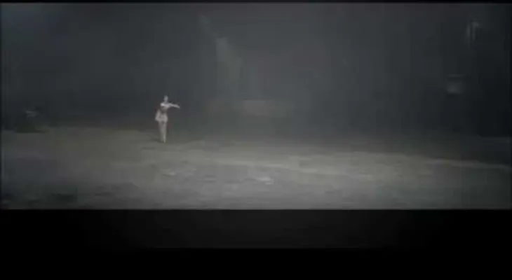 La bailarina se enfrenta con un caballo. ¡Es toda una obra maestra!  (VIDEO)