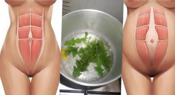 Nadie quiere un estómago hinchado; puedes quemar tu grasa abdominal con esta receta natural...