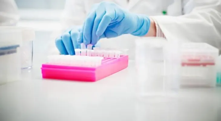 Descubren un anticuerpo humano capaz de neutralizar el coronavirus en células