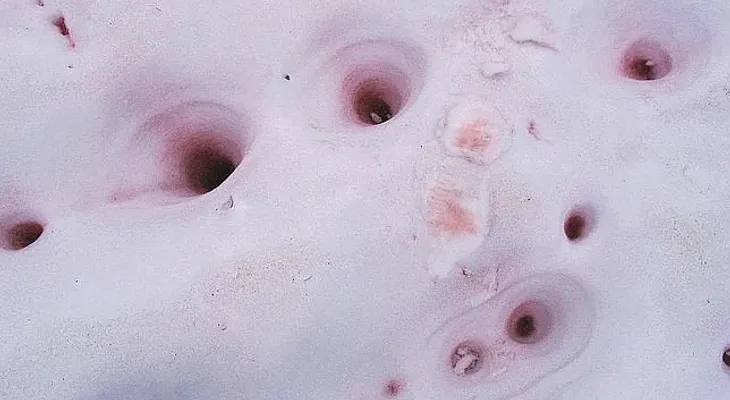 La peligrosa Nieve de Sandía