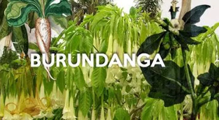 Nueva modalidad de atraco con burunganda: Te lo colocan con un volante en el cristal de tu vehículo 