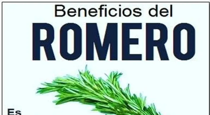 Dios Mío, no sabías que el romero fuera tan milagroso: Una planta perfecta para los desmemoriados?otros beneficios, sigue leyendo...