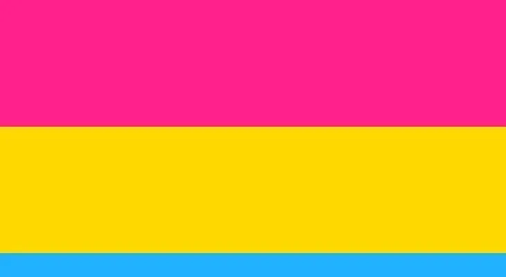 Pansexualidad, formada por tres bandas de color rosa, amarillo y azul