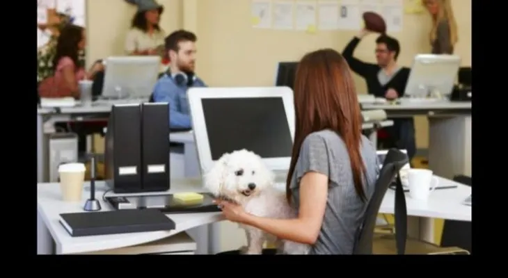 10 beneficios de llevar a tu mejor amigo al trabajo