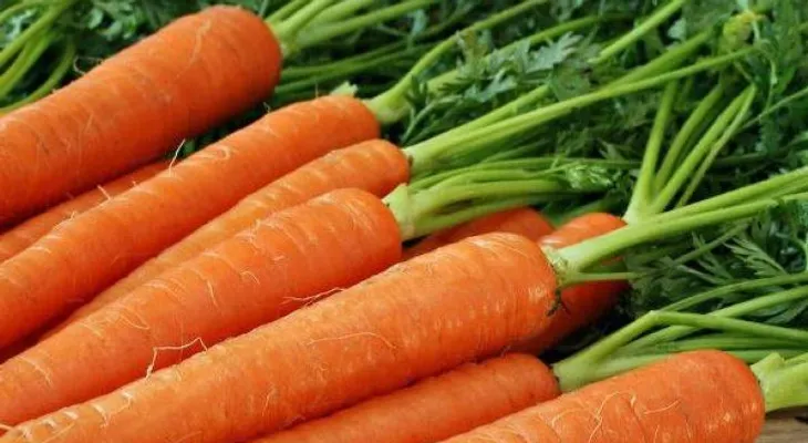 7 alimentos imprescindibles para tu dieta en vacaciones
