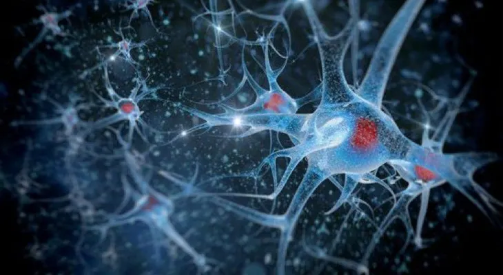 8 hábitos que afectan tu salud cerebral 