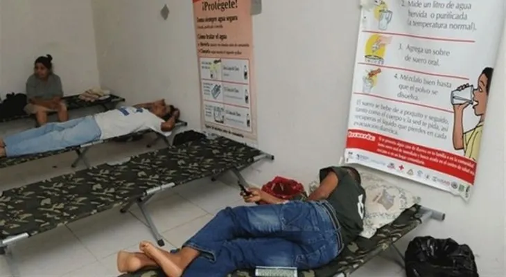 Este año hubo siete mil casos de dengue y 47 muertos