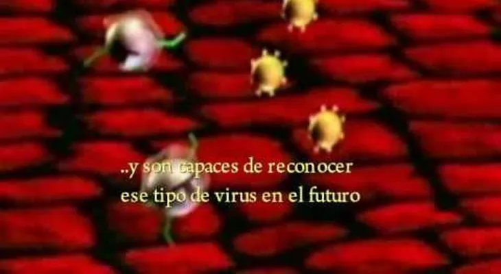 Infecciones respiratorias (VIDEO) 