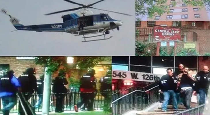 Crímenes en aumento en NY; policía detiene 103 pandilleros