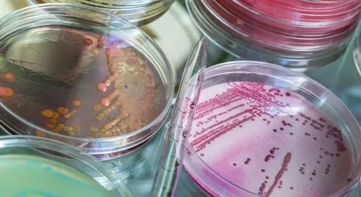 Bacteria mortal escapa de laboratorio secreto EE.UU.