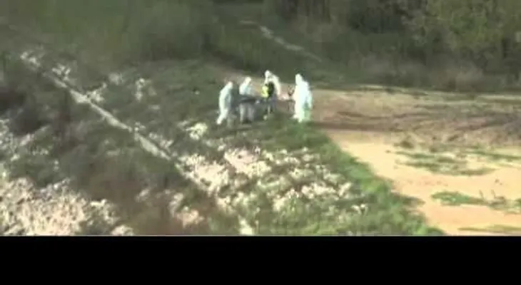 Pescan una sirena en Polonia. Y muchos se lo creen (VIDEO)