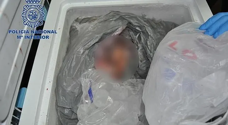 Mató a su hermano y guardó los restos en el freezer