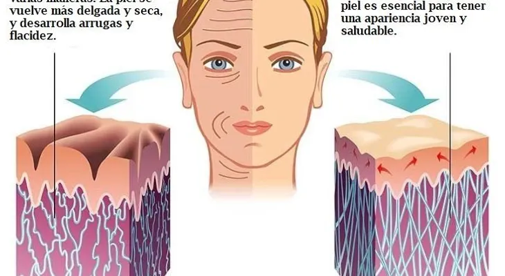 7 suplementos para llenar la piel de vitalidad y belleza 