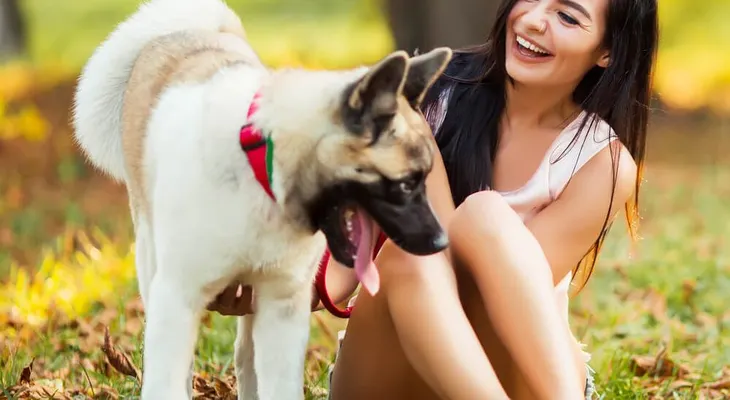 Los perros y los sorprendentes beneficios de pasear con ellos cada día