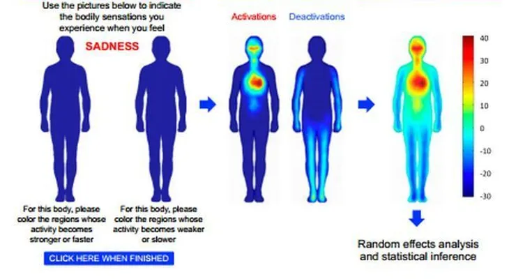 Mapas distribución emociones en el cuerpo humano