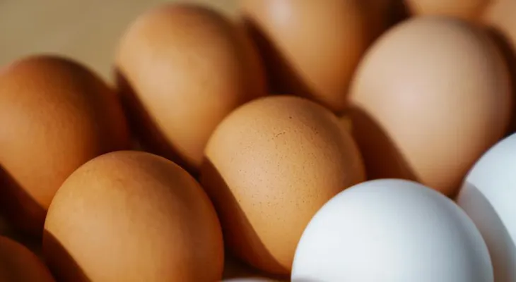 FDA eleva a Clase 1 la alerta por 19 millones de huevos retirados por contaminación con salmonela en Texas