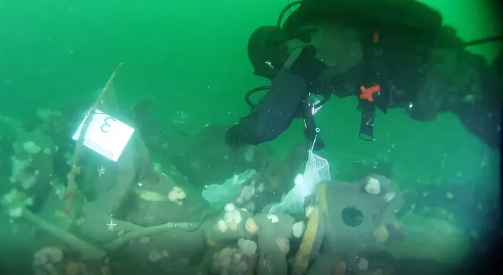 Detectan contaminación en torno a submarino alemán hundido en 1917