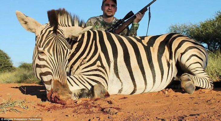 "La carne más rica es la de jirafa": un politico sueco que caza animales salvajes indigna a la Red