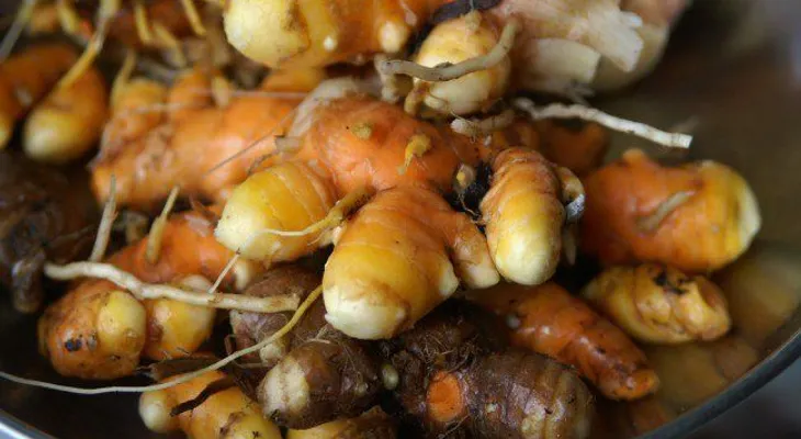 Cómo cultivar cúrcuma fácilmente en casa
