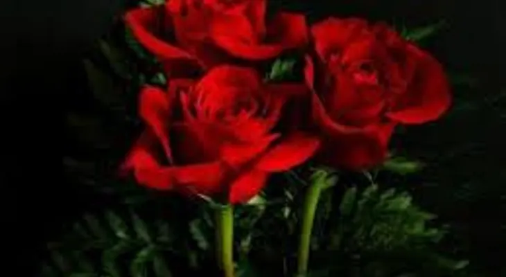 Si no lo sabías, el rojo es el color más sexy para vestir, la ciencia lo afirma