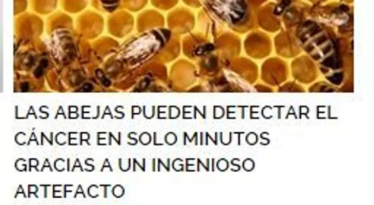 Las abejas pueden detectar el cáncer en solo minutos 