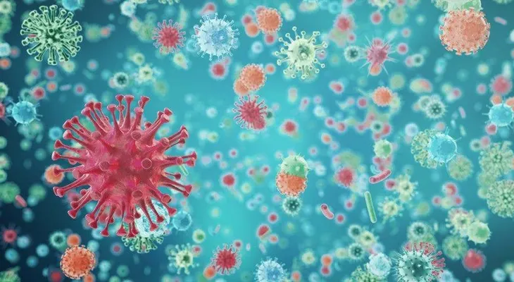 Identifican en Río de Janeiro una nueva cepa del coronavirus