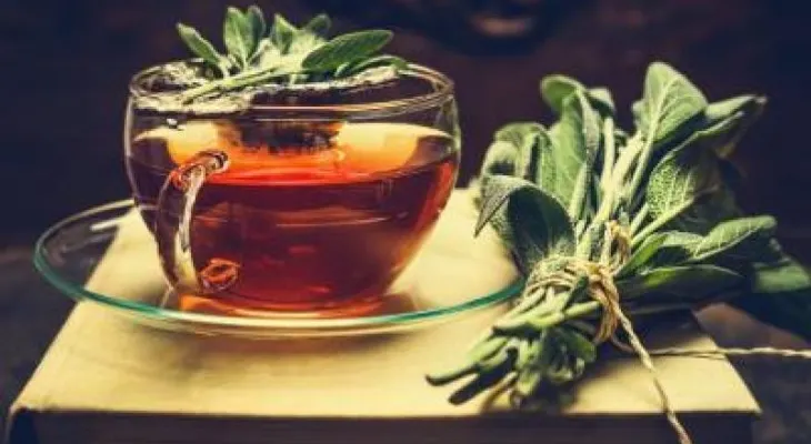 Beber té previene el deterioro cognitivo