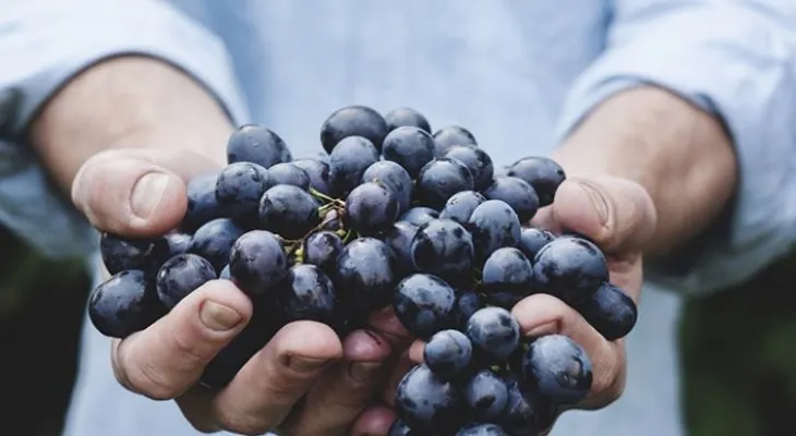 Estos son los 10 beneficios de comer uvas