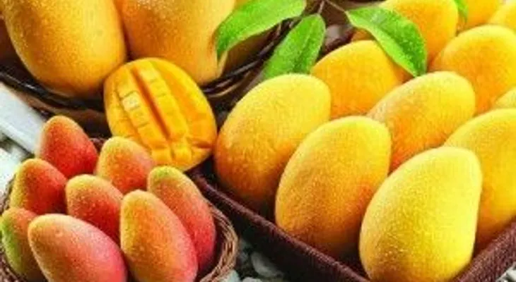 No sabías que el mango tenía tantos beneficios para la salud