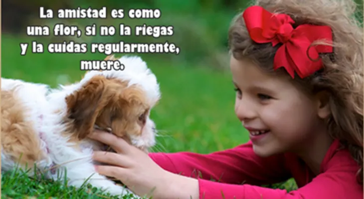 Imágenes de Amor y Amistad para Compartir