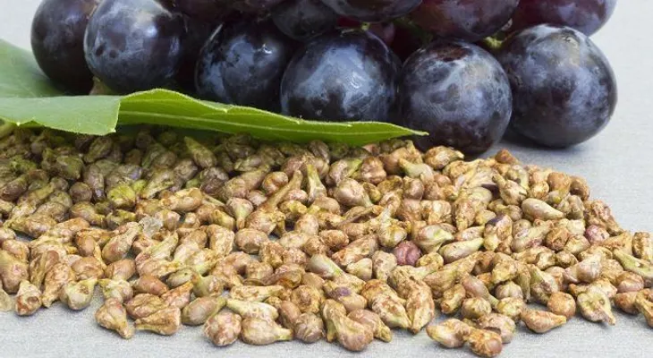 Descubre el poder anticancerígeno de las semillas de uvas