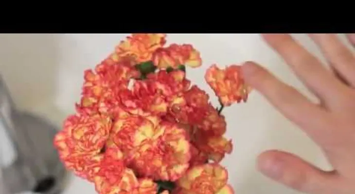 Mi mamá me dijo que el vinagre era útil, pero nunca pensé que fuera tan Increíble (VIDEO)