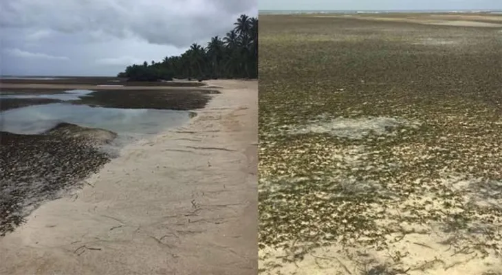 Descartan que retiro del mar en Las Terrenas tenga que ver con tsunami