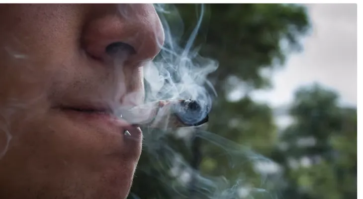 Cannabis en adolescentes afecta desarrollo cognitivo
