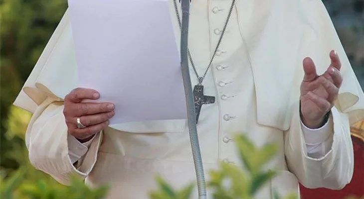 El Papa Francisco advierte que afrontará con "severidad" la "lepra" de pederastia en la Iglesia