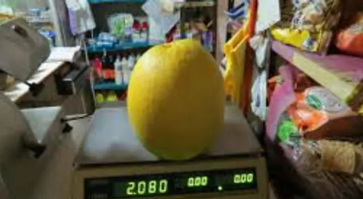 Cosechan un "super" limón de dos kilos