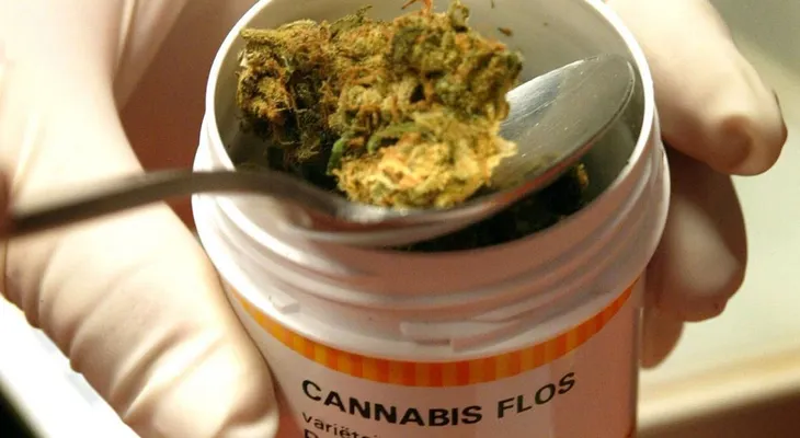 Arrancan en Puerto Rico sondeos sobre reglamento de marihuana medicinal