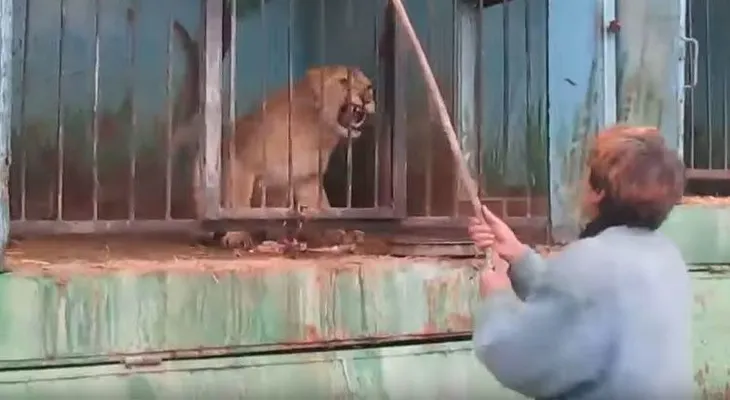 Imágenes de animales desamparados conmocionan la Red