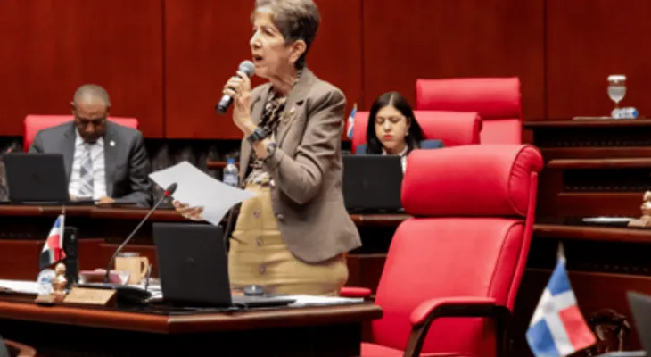 Senado conforma comisiones bicamerales para estudiar Presupuesto 2027 y reforma al Código Civil
