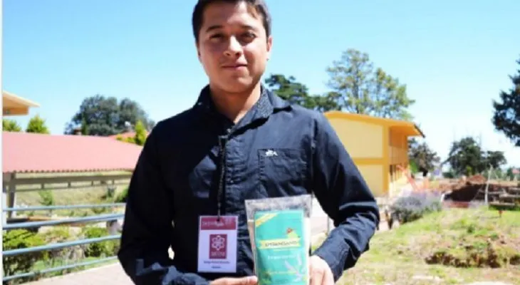  Estudiante mexicano crea polvo empanizador con huevo de chinche de agua 
