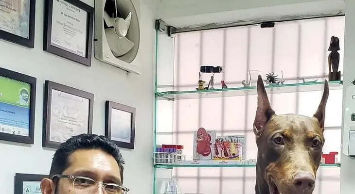 Qué debe incluir tu botiquín para mascotas ante un terremoto, según veterinario