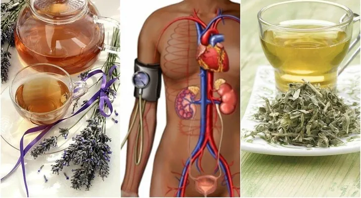 Las mejores infusiones para bajar la tensión