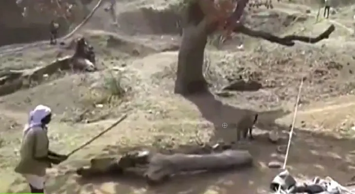 Video: la impresionante batalla entre un hombre y un leopardo