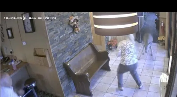 Ciervo irrumpe en un restaurante y da un buen susto a los clientes