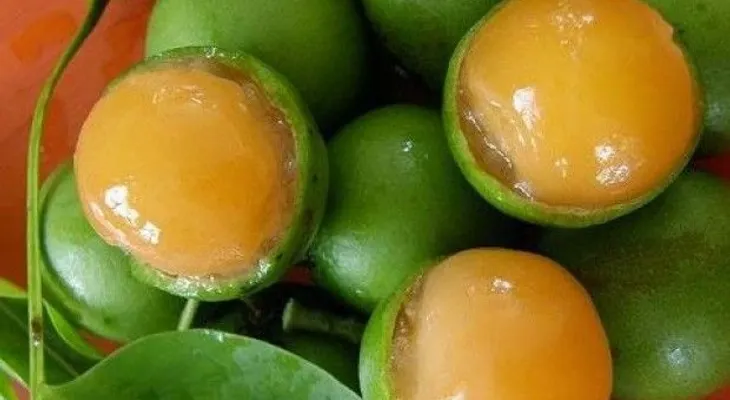 Muere niño de 5 años al atragantarse con semilla de limoncillo